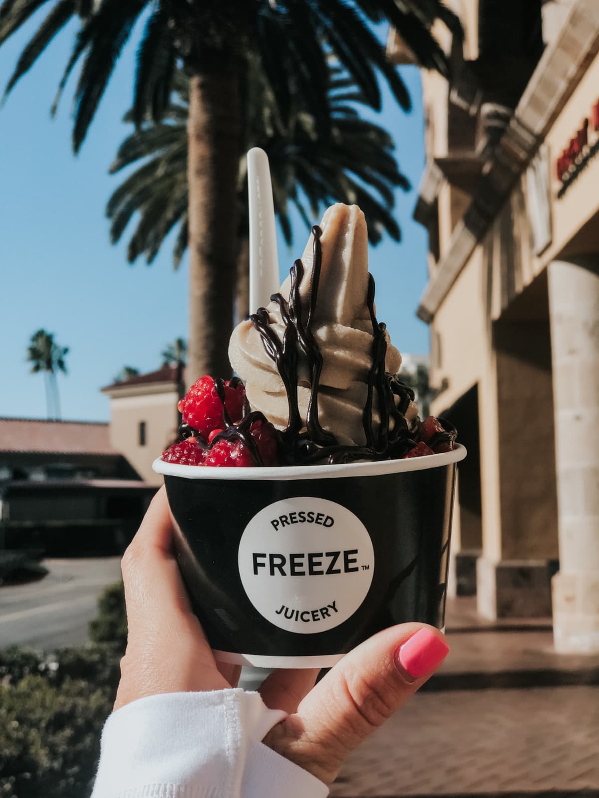 pressed juicery for date-sweetened frozen yogurt that tastes like chocolate